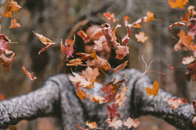 Mindfulness in één dag