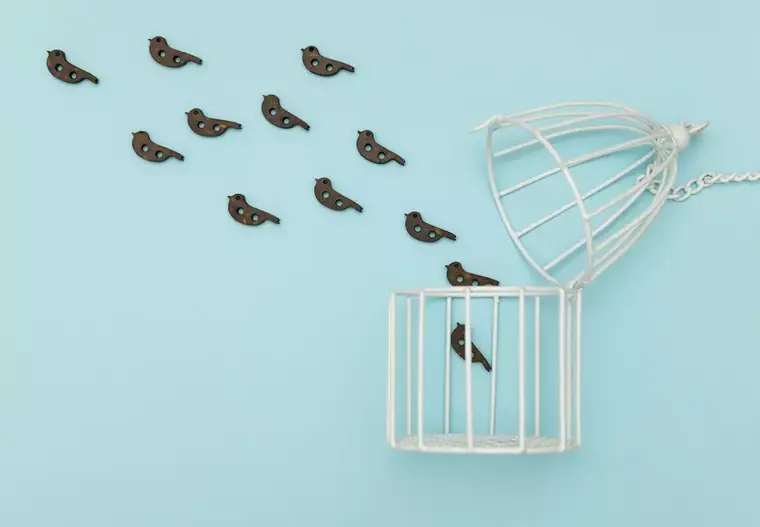 Hoe zorg je dat medewerkers willen veranderen?
