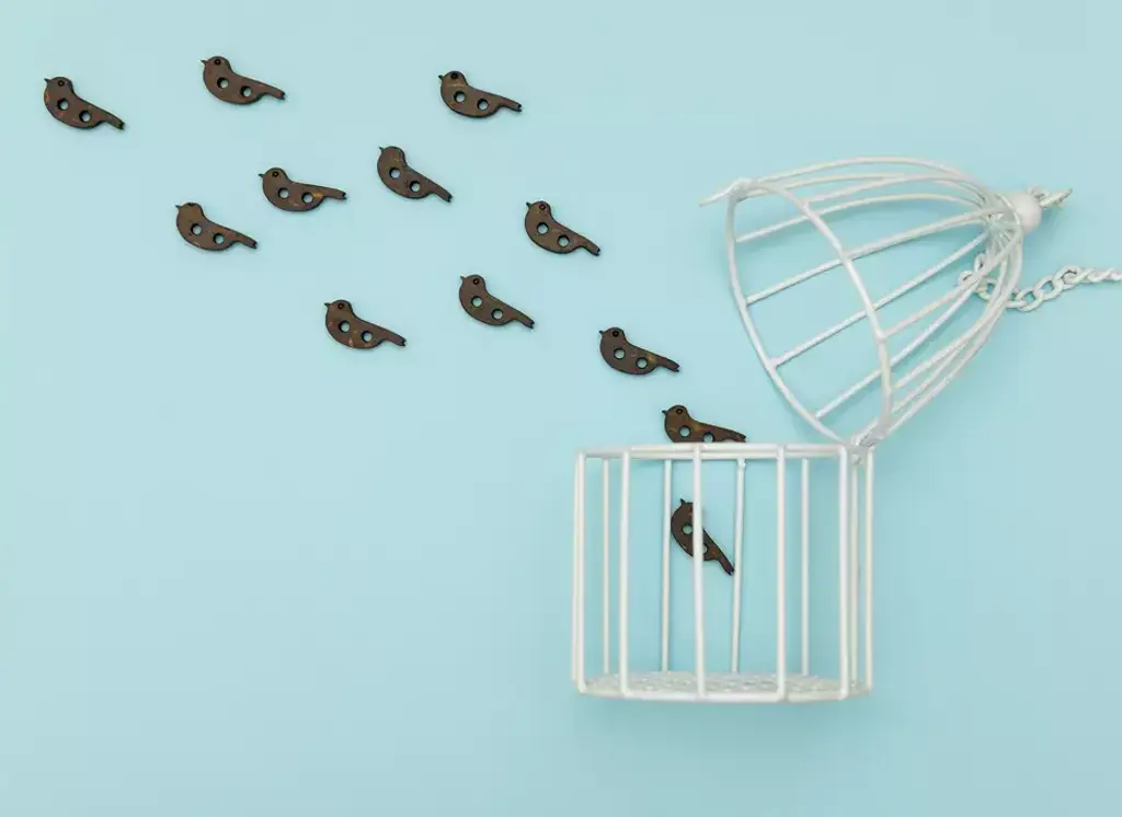 Hoe zorg je dat medewerkers willen veranderen?
