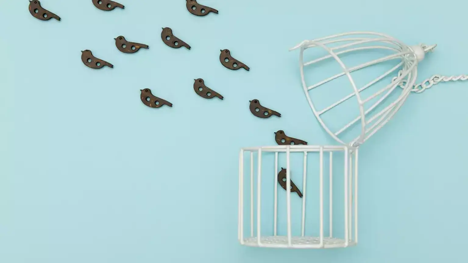 Hoe zorg je dat medewerkers willen veranderen?